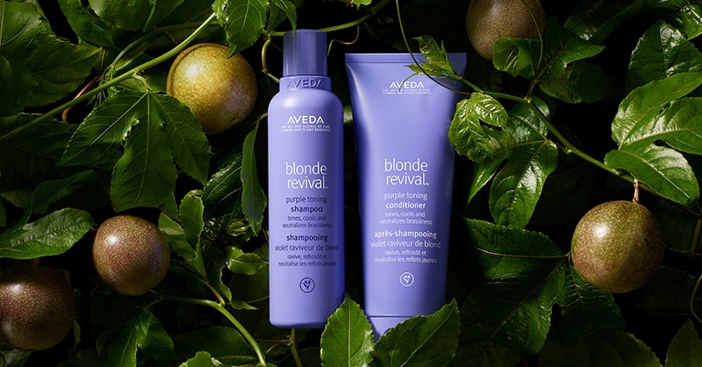 Blonde revival purple shampoo and conditioner is 96% naturally derived, vegan, cruelty-free, sulfate cleanser free & silicone fr
