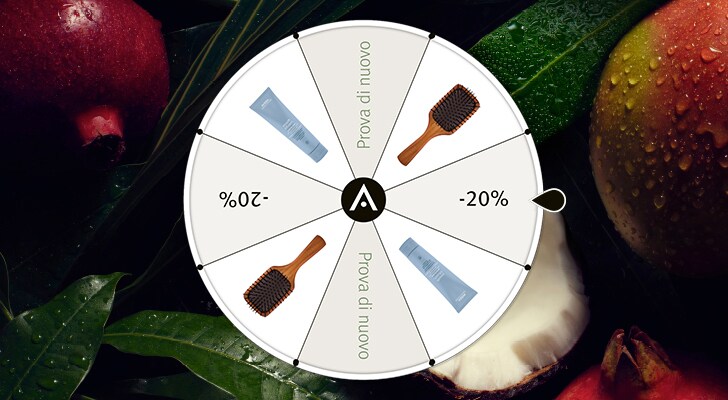Spin the wheel for a chance to win a special offer