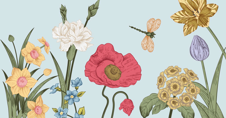 Play our Spring Dragonfly Game
