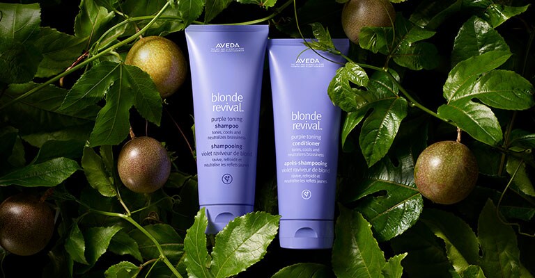 Blonde revival purple toning shampoo and conditioner