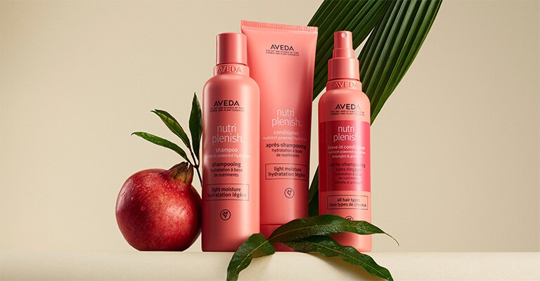 nutriplenish light moisture hair care