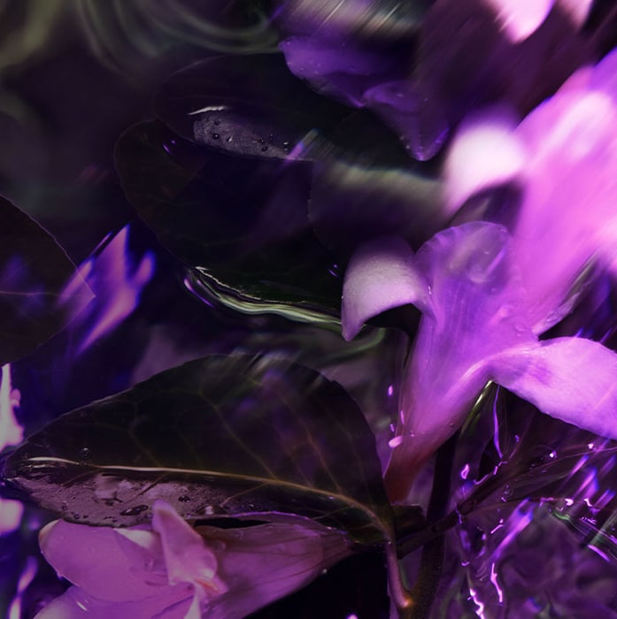 Try a new hair color