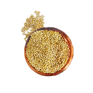 CHENOPODIUM QUINOA SEED EXTRACT