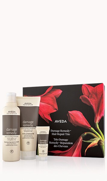 damage remedy<span class="trade">™</span> hair repair trio
