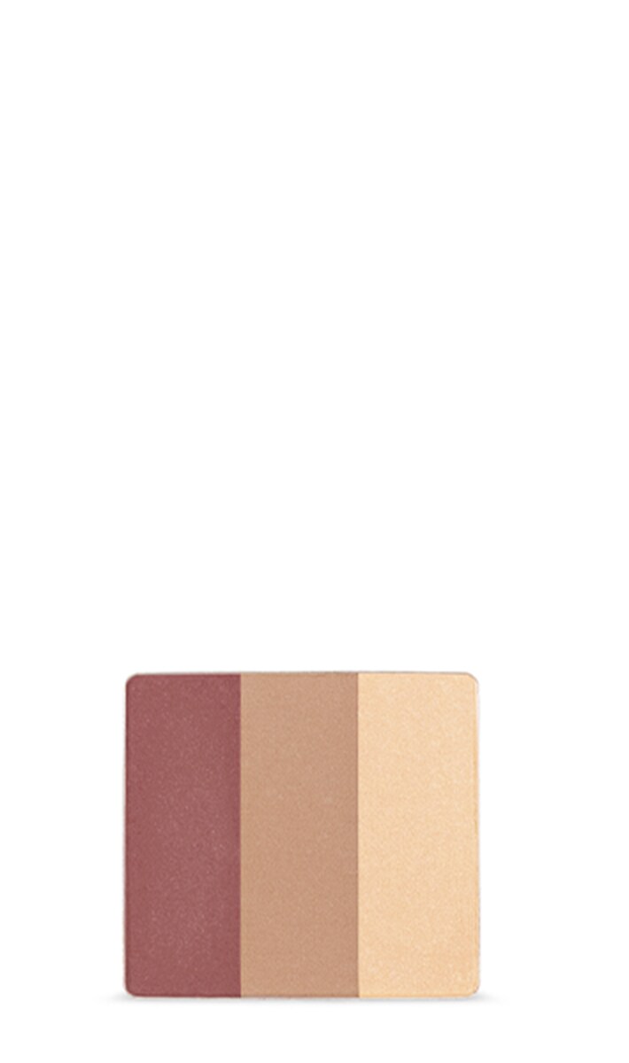 petal essence<span class="trade">&trade;</span> face accents